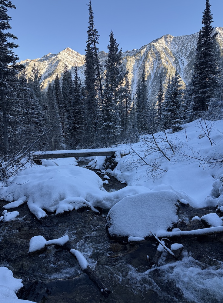 Bridge crossing stream on Gloria Falls Trail - Little Cottonwood Canyon Utah