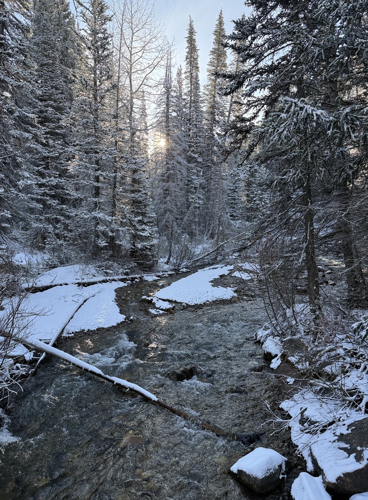 Stream crossing on the way to Gloria Falls Utah