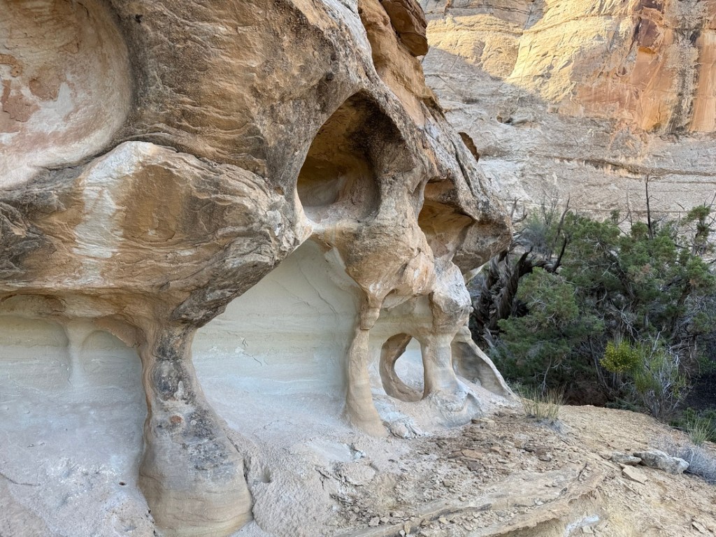 Interesting features along the Little Wild Horse Canyon trail