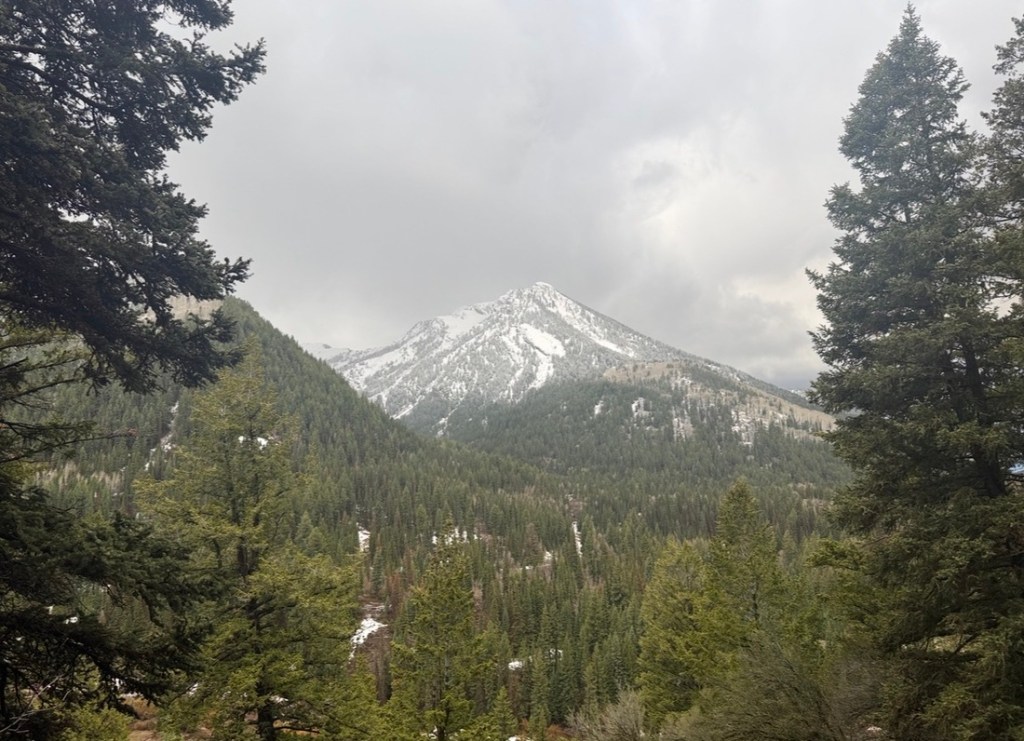 View of Kassler Peak in Big Cottonwood Canyon