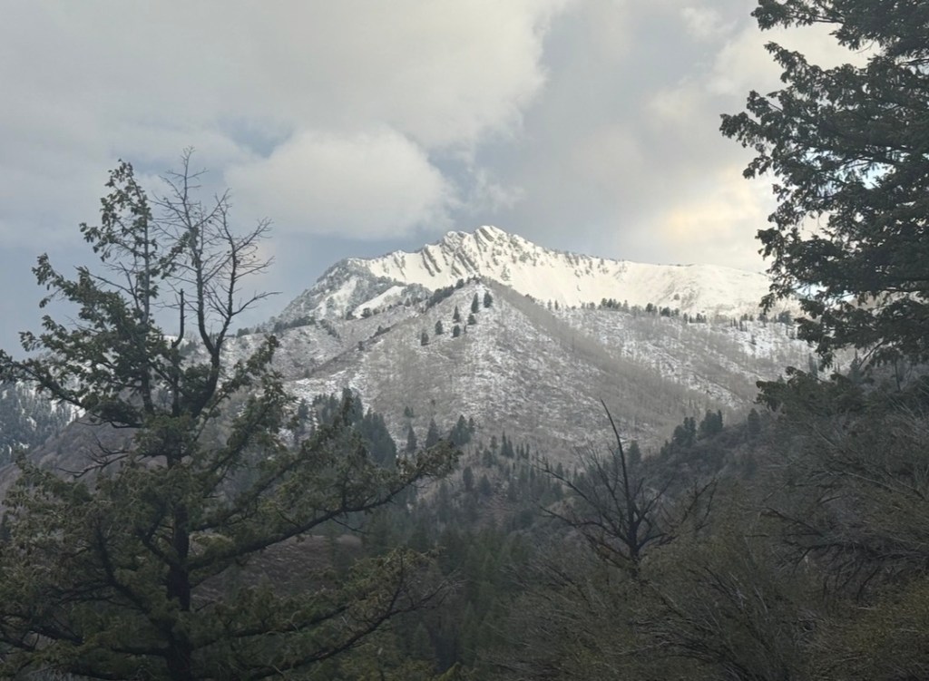 Mr. Raymond in Utah's Big Cottonwood Canyon