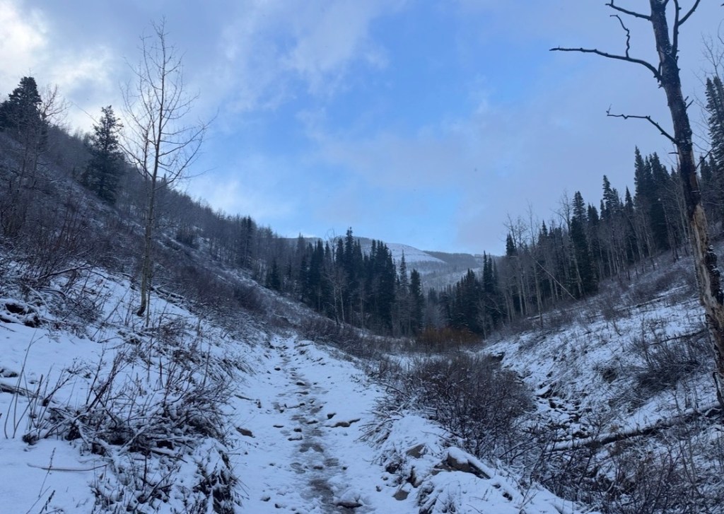 Mill D North Fork Trail heading to Dog Lake