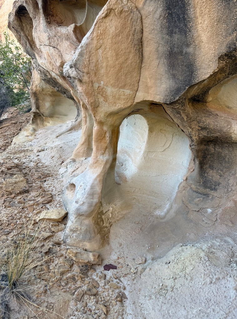 Fun look along the Little Wild Horse Canyon trail