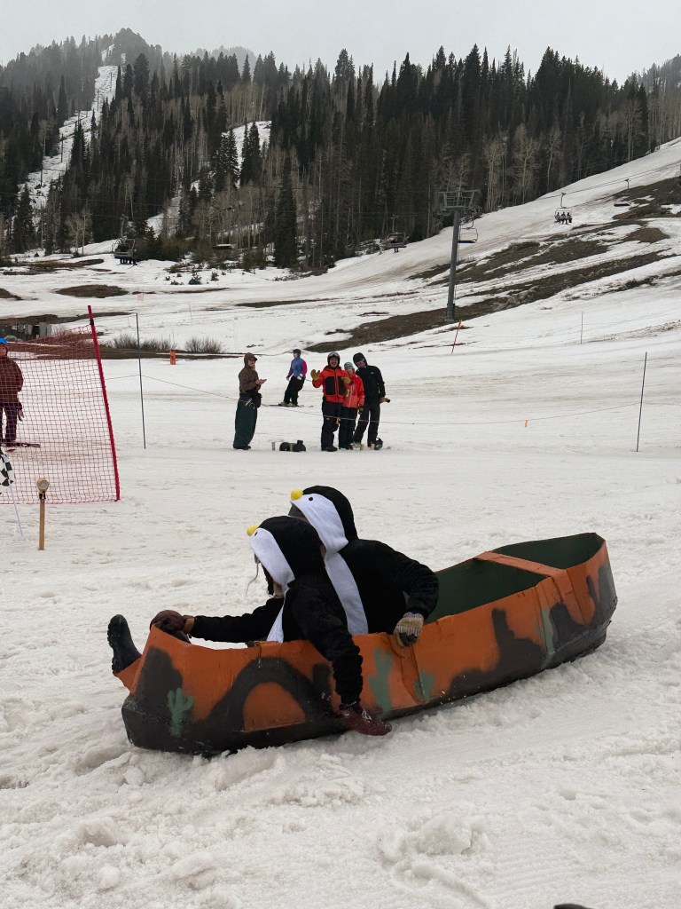 Solitude Cardboard Derby penguins in canoe