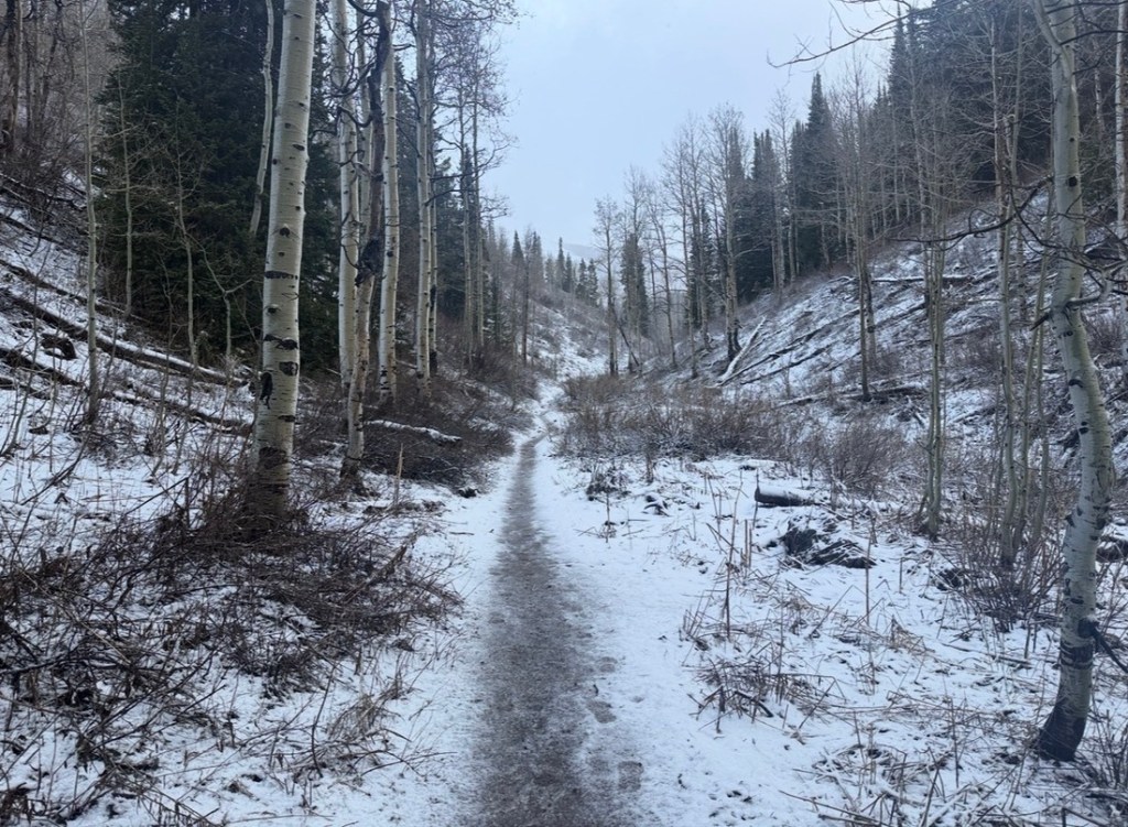 Mill D North Fork Trail going to Dog Lake