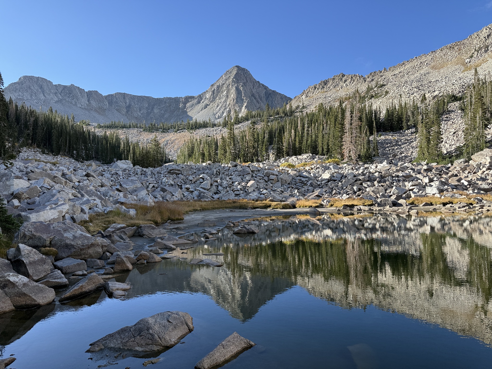 The Pfeifferhorn reflecting off one of the Maybird Lakes
